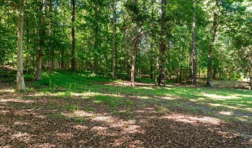 Photo #45 of 2829 Winningham Road, Crewe, VA 5.6 acres