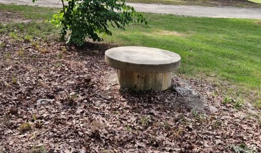 Photo #20 of 147 Old Mill Road, Abilene, VA 4.9 acres