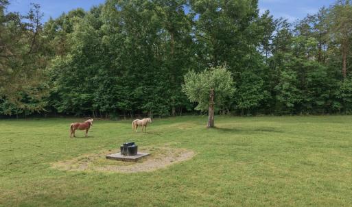 Photo #4 of 51 FARM FOLLY LN, Cumberland, VA 64.8 acres