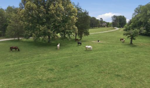 Photo #5 of 51 FARM FOLLY LN, Cumberland, VA 64.8 acres