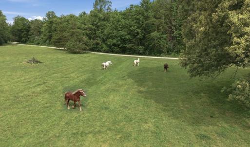 Photo #57 of 51 FARM FOLLY LN, Cumberland, VA 64.8 acres