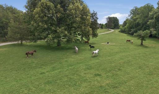 Photo #58 of 51 FARM FOLLY LN, Cumberland, VA 64.8 acres