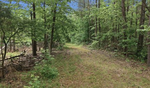 Photo #63 of 51 FARM FOLLY LN, Cumberland, VA 64.8 acres