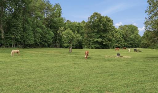 Photo #75 of 51 FARM FOLLY LN, Cumberland, VA 64.8 acres