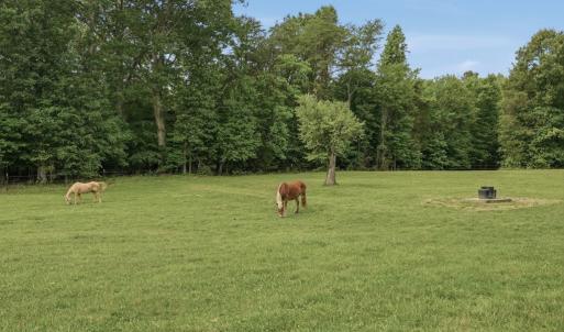 Photo #76 of 51 FARM FOLLY LN, Cumberland, VA 64.8 acres