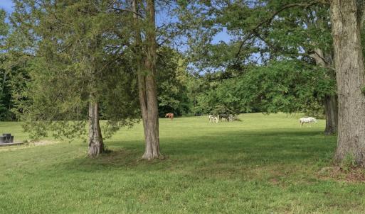 Photo #77 of 51 FARM FOLLY LN, Cumberland, VA 64.8 acres