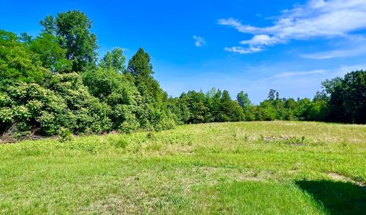 Photo #3 of 7503 S Genito Road, Jetersville, VA 2.0 acres