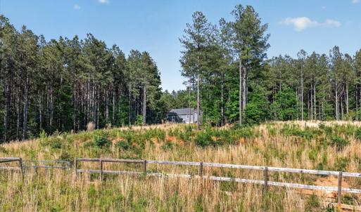 Photo #38 of 2131 Meherrin Road, Meherrin, VA 12.7 acres