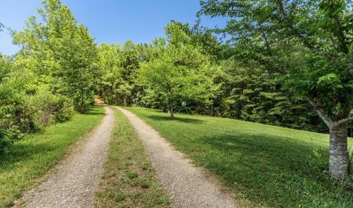 Photo #55 of 1408 Coleman Mountain Rd, Appomattox, VA 23.6 acres