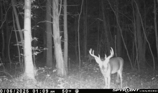 Photo #58 of 1408 Coleman Mountain Rd, Appomattox, VA 23.6 acres