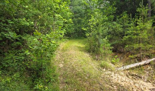 Photo #61 of 1408 Coleman Mountain Rd, Appomattox, VA 23.6 acres