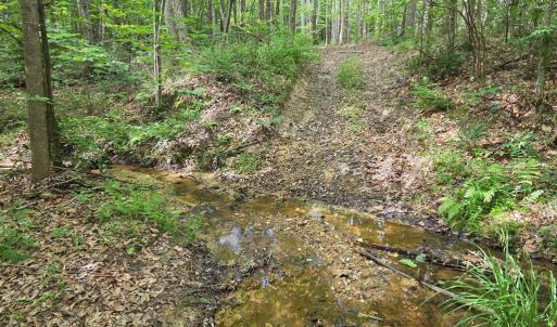 Photo #64 of 1408 Coleman Mountain Rd, Appomattox, VA 23.6 acres