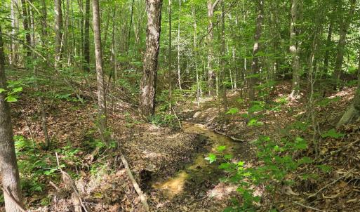 Photo #65 of 1408 Coleman Mountain Rd, Appomattox, VA 23.6 acres