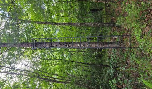 Photo #66 of 1408 Coleman Mountain Rd, Appomattox, VA 23.6 acres