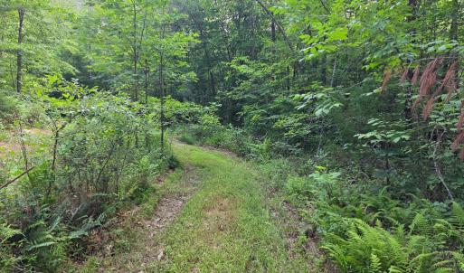 Photo #67 of 1408 Coleman Mountain Rd, Appomattox, VA 23.6 acres