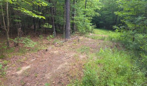 Photo #68 of 1408 Coleman Mountain Rd, Appomattox, VA 23.6 acres