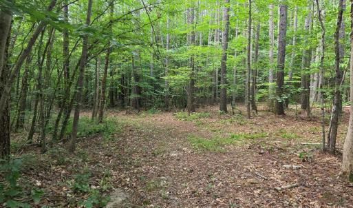 Photo #69 of 1408 Coleman Mountain Rd, Appomattox, VA 23.6 acres