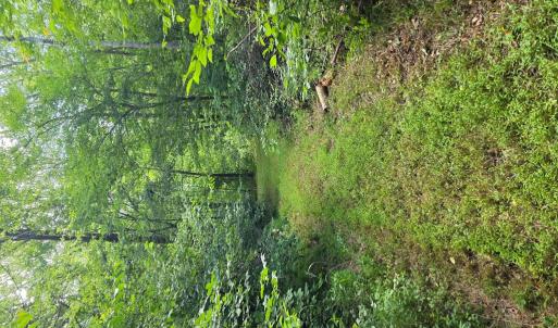 Photo #70 of 1408 Coleman Mountain Rd, Appomattox, VA 23.6 acres