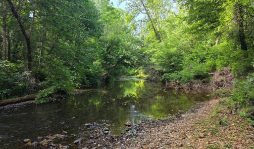Photo #71 of 1408 Coleman Mountain Rd, Appomattox, VA 23.6 acres
