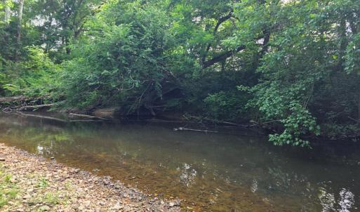 Photo #73 of 1408 Coleman Mountain Rd, Appomattox, VA 23.6 acres