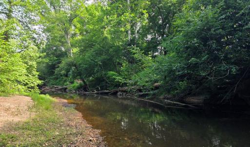 Photo #74 of 1408 Coleman Mountain Rd, Appomattox, VA 23.6 acres