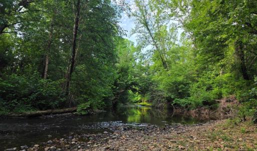 Photo #77 of 1408 Coleman Mountain Rd, Appomattox, VA 23.6 acres