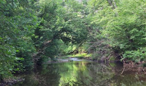 Photo #79 of 1408 Coleman Mountain Rd, Appomattox, VA 23.6 acres