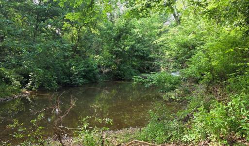 Photo #80 of 1408 Coleman Mountain Rd, Appomattox, VA 23.6 acres