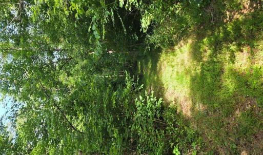 Photo #82 of 1408 Coleman Mountain Rd, Appomattox, VA 23.6 acres