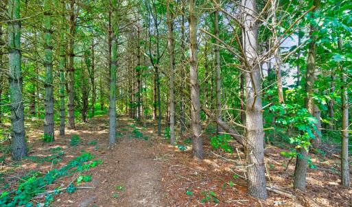 Photo #47 of 3779 S James Madison Hwy, Farmville, VA 2.0 acres