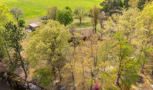 Photo #28 of 402 Easy Street, Dundas, VA 61.8 acres