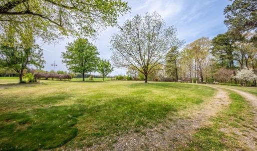 Photo #47 of 402 Easy Street, Dundas, VA 61.8 acres