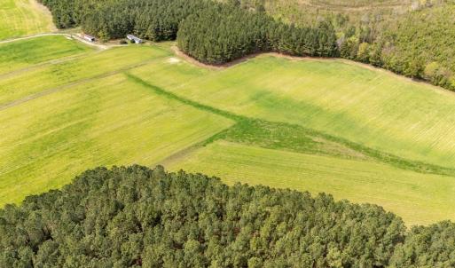 Photo #59 of 402 Easy Street, Dundas, VA 61.8 acres