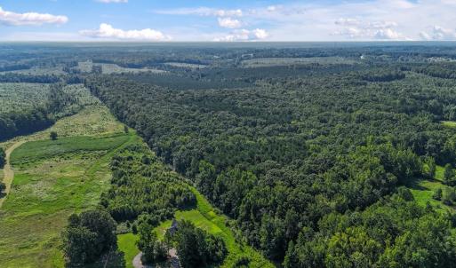Photo #3 of 6502 Nutbush Road, Green Bay, VA 79.0 acres
