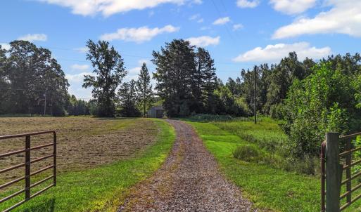 Photo #4 of 6502 Nutbush Road, Green Bay, VA 79.0 acres