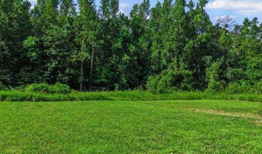 Photo #51 of 6502 Nutbush Road, Green Bay, VA 79.0 acres