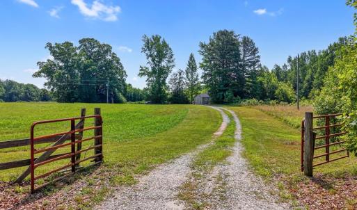Photo #4 of 6502 Nutbush Road, Green Bay, VA 79.0 acres