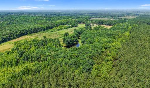 Photo #40 of 6502 Nutbush Road, Green Bay, VA 79.0 acres
