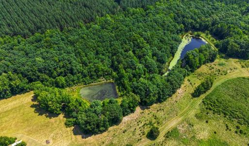 Photo #41 of 6502 Nutbush Road, Green Bay, VA 79.0 acres