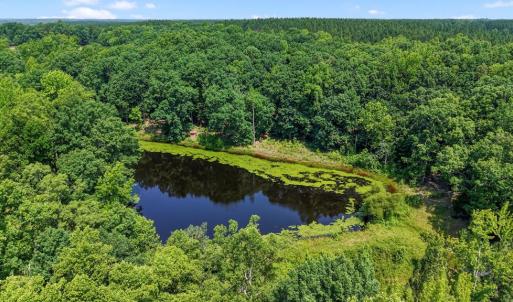 Photo #43 of 6502 Nutbush Road, Green Bay, VA 79.0 acres