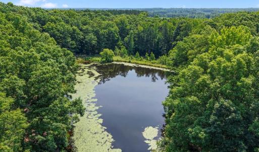 Photo #44 of 6502 Nutbush Road, Green Bay, VA 79.0 acres