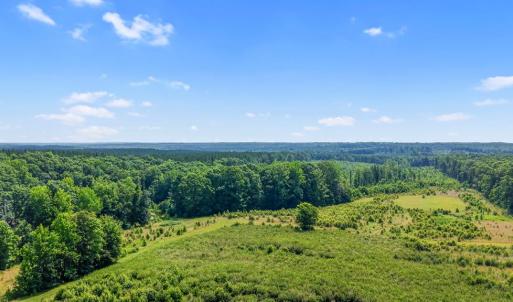 Photo #46 of 6502 Nutbush Road, Green Bay, VA 79.0 acres