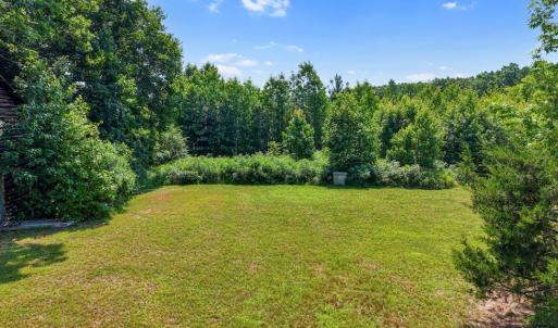 Photo #49 of 6502 Nutbush Road, Green Bay, VA 79.0 acres
