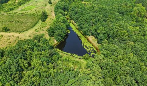 Photo #42 of 6502 Nutbush Road, Green Bay, VA 79.0 acres