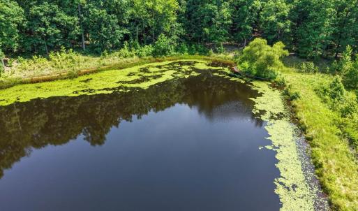 Photo #45 of 6502 Nutbush Road, Green Bay, VA 79.0 acres