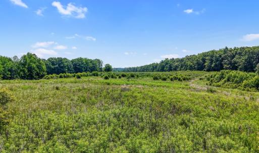 Photo #47 of 6502 Nutbush Road, Green Bay, VA 79.0 acres