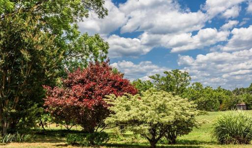 Photo #84 of 7655 Hat Creek Road, Brookneal, VA 370.4 acres