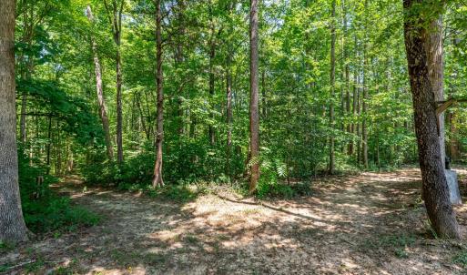 Photo #69 of 197 Goshen RD, Cumberland, VA 23.2 acres