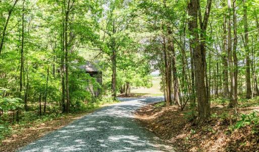 Photo #83 of 1370 Moonlight Road, Appomattox, VA 186.6 acres