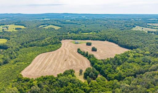 Photo #97 of 1370 Moonlight Road, Appomattox, VA 186.6 acres